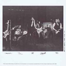Load image into Gallery viewer, Radio Birdman – Radios Appear