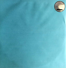 Load image into Gallery viewer, ROSS FROM FRIENDS - FAMILY PORTRAIT ( 12" RECORD )