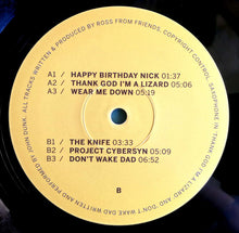Load image into Gallery viewer, ROSS FROM FRIENDS - FAMILY PORTRAIT ( 12" RECORD )