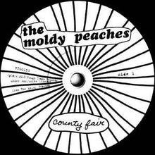 Load image into Gallery viewer, The Moldy Peaches – The Moldy Peaches