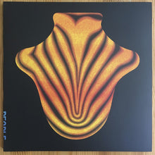 Load image into Gallery viewer, BIG RED MACHINE - BIG RED MACHINE ( 12" RECORD )