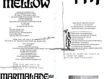 Load image into Gallery viewer, Tash Sultana – Flow State