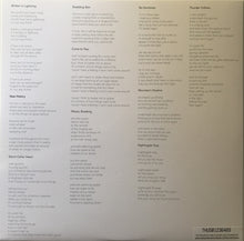 Load image into Gallery viewer, MUTUAL BENEFIT - THUNDER FOLLOWS THE LIGHT ( 12" RECORD )
