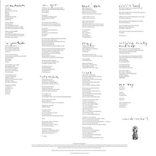 Load image into Gallery viewer, CAT POWER - WANDERER ( 12" RECORD )