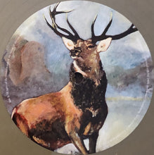 Load image into Gallery viewer, LAIBACH - THE SOUND OF MUSIC ( 12" RECORD )