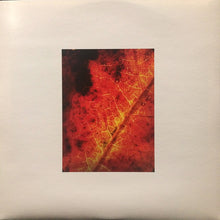 Load image into Gallery viewer, Common Eider, King Eider - A Wound Of Earth (LP ALBUM)