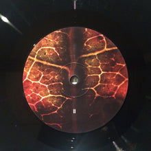 Load image into Gallery viewer, Common Eider, King Eider - A Wound Of Earth (LP ALBUM)