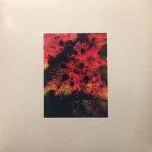 Load image into Gallery viewer, Common Eider, King Eider - A Wound Of Earth (LP ALBUM)