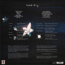 Load image into Gallery viewer, KING CREOSOTE - ROCKET D.I.Y. ( 12" RECORD )