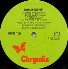 Load image into Gallery viewer, Jethro Tull - Living In The Past (2xLP, Album, Comp, Gat)