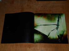 Load image into Gallery viewer, The Breeders – Mountain Battles