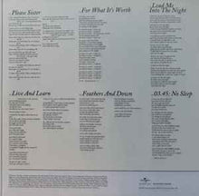 Load image into Gallery viewer, The Cardigans – Long Gone Before Daylight