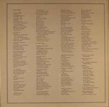 Load image into Gallery viewer, Dan Fogelberg & Tim Weisberg – Twin Sons Of Different Mothers