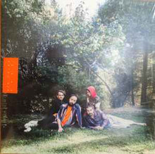 Load image into Gallery viewer, Big Thief – U.F.O.F.