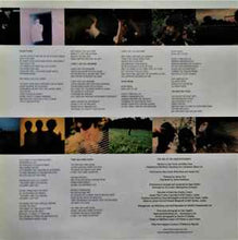 Load image into Gallery viewer, The Last Shadow Puppets – The Age Of The Understatement