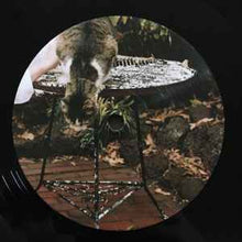 Load image into Gallery viewer, Carla dal Forno – Look Up Sharp