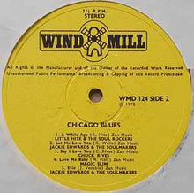 Load image into Gallery viewer, Various – Authentic Chicago Blues