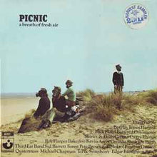 Load image into Gallery viewer, Various - Picnic (A Breath Of Fresh Air) (2xLP, Smplr)
