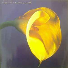 Load image into Gallery viewer, Swans – The Burning World