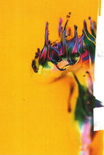 Load image into Gallery viewer, PIXIES - PIXIES ( DIGITAL VERSATILE DISC )