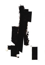 Load image into Gallery viewer, PIXIES - PIXIES ( DIGITAL VERSATILE DISC )