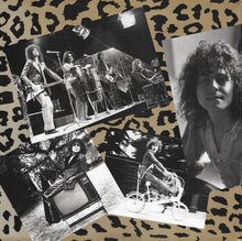 Load image into Gallery viewer, Marc Bolan And T. Rex - Best Of The 20th Century Boy (2xLP, Comp)