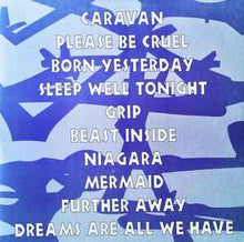 Load image into Gallery viewer, Inspiral Carpets – The Beast Inside