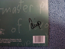 Load image into Gallery viewer, VIC CHESNUTT - IS THE ACTOR HAPPY? ( 12" RECORD )