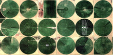 Load image into Gallery viewer, IRON & WINE - AROUND THE WELL ( 12" RECORD )