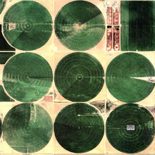 Load image into Gallery viewer, IRON & WINE - AROUND THE WELL ( 12" RECORD )