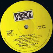 Load image into Gallery viewer, Robyn Hitchcock – Groovy Decay