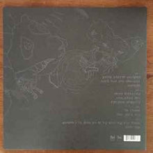Load image into Gallery viewer, Animal Collective – Spirit They're Gone, Spirit They've Vanished