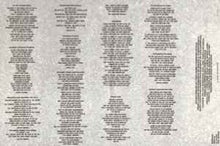 Load image into Gallery viewer, Hüsker Dü – Flip Your Wig