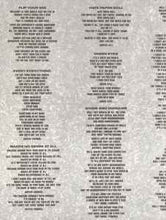 Load image into Gallery viewer, Hüsker Dü – Flip Your Wig