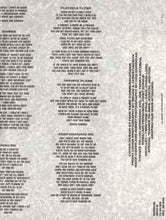 Load image into Gallery viewer, Hüsker Dü – Flip Your Wig