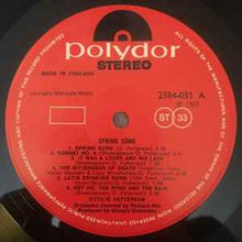 Load image into Gallery viewer, Ottilie Patterson – Spring Song