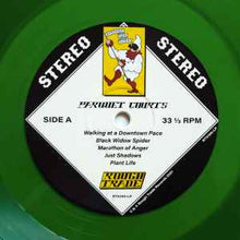 Load image into Gallery viewer, Parquet Courts – Sympathy For Life