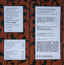 Load image into Gallery viewer, Parquet Courts – Sympathy For Life