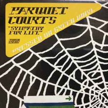Load image into Gallery viewer, Parquet Courts – Sympathy For Life