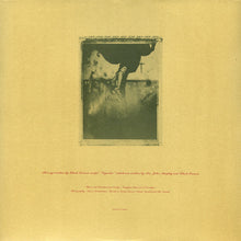 Load image into Gallery viewer, PIXIES - SURFER ROSA ( 12" RECORD )