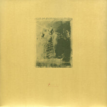 Load image into Gallery viewer, PIXIES - SURFER ROSA ( 12" RECORD )