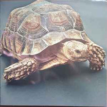 Load image into Gallery viewer, Aldous Harding – Warm Chris