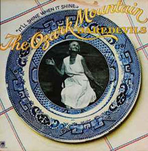 Load image into Gallery viewer, The Ozark Mountain Daredevils - It'll Shine When It Shines (LP, Album)