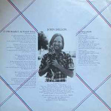 Load image into Gallery viewer, The Ozark Mountain Daredevils - It'll Shine When It Shines (LP, Album)