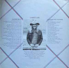 Load image into Gallery viewer, The Ozark Mountain Daredevils - It'll Shine When It Shines (LP, Album)