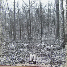 Load image into Gallery viewer, Various – White Mansions