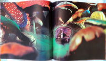 Load image into Gallery viewer, Rick Wakeman – Journey To The Centre Of The Earth
