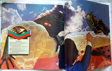 Load image into Gallery viewer, Rick Wakeman – Journey To The Centre Of The Earth