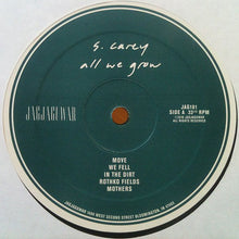 Load image into Gallery viewer, S. CAREY - ALL WE GROW ( 12&quot; RECORD )