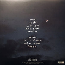 Load image into Gallery viewer, S. CAREY - ALL WE GROW ( 12" RECORD )